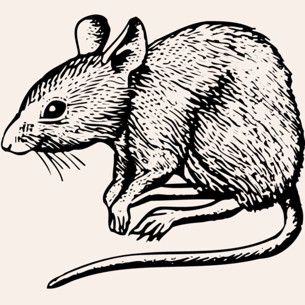 MOUSE001 Thumbnail