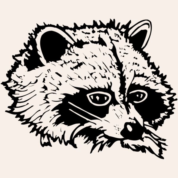 COON004 Thumbnail