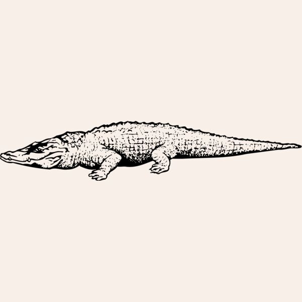 CROC03 Thumbnail