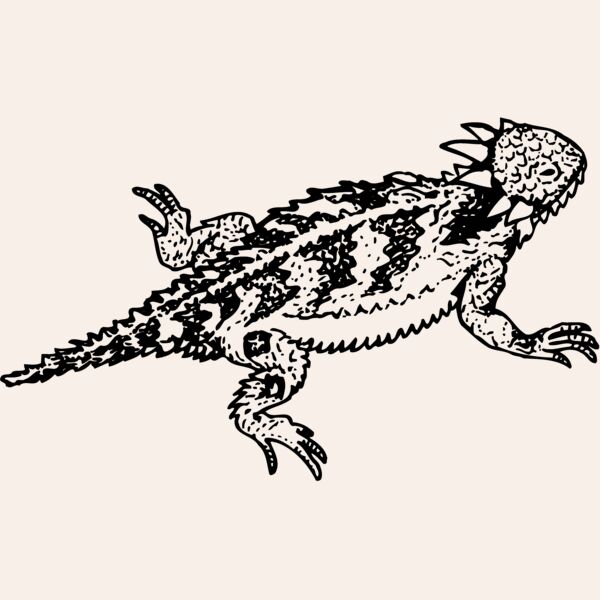 IGUANA01 Thumbnail