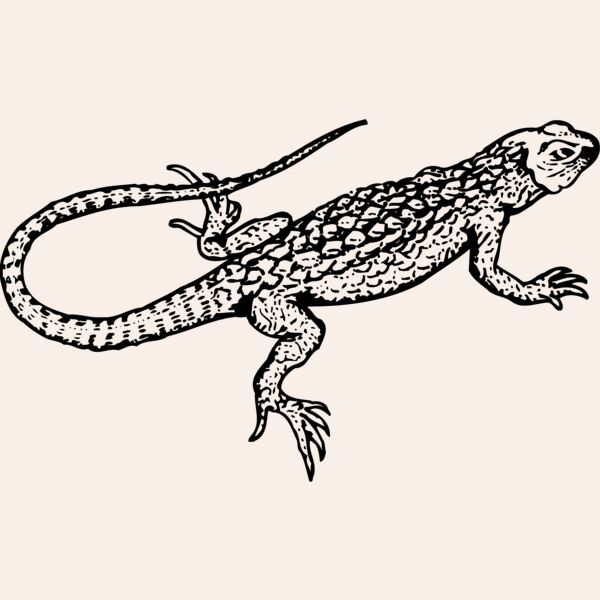 LIZARD01 Thumbnail