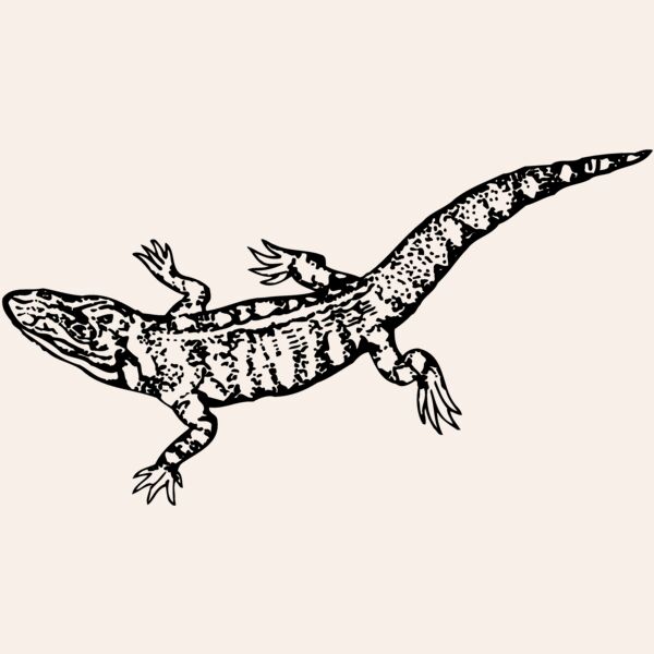 LIZARD02 Thumbnail