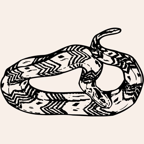 SNAKE002 Thumbnail