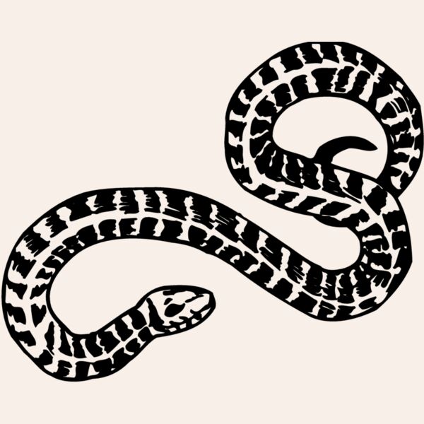SNAKE009 Thumbnail