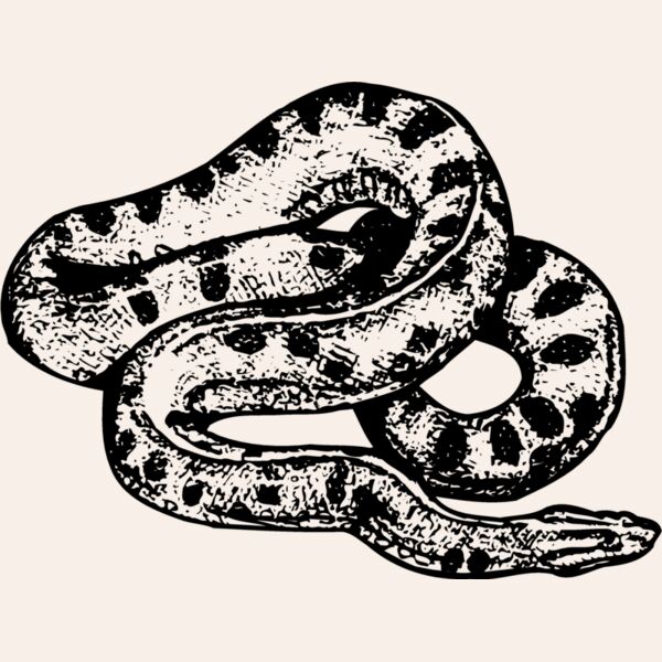 SNAKE010 Thumbnail