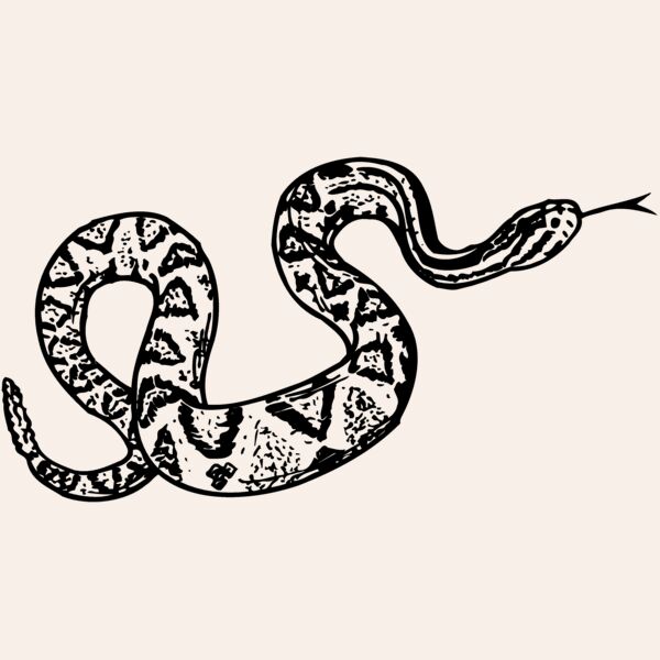SNAKE011 Thumbnail