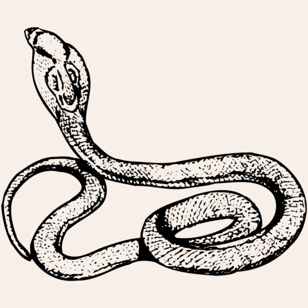 SNAKE014 Thumbnail