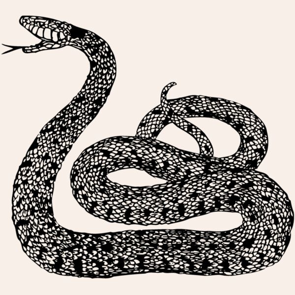 SNAKE015 Thumbnail