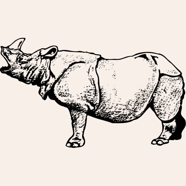 RHINO003 Thumbnail