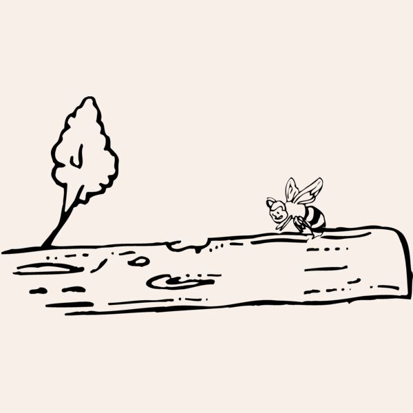 CART0059 Thumbnail