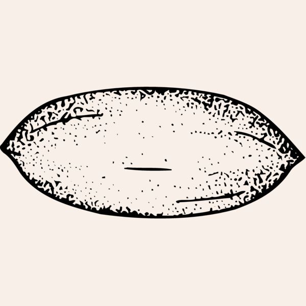 FRUIT006 Thumbnail