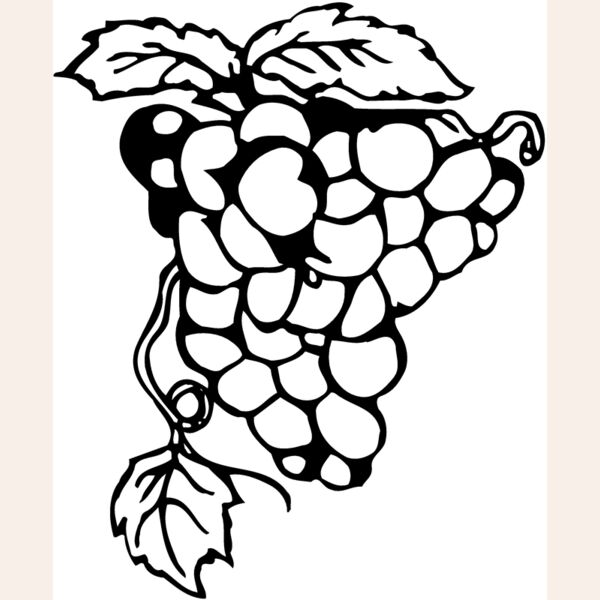 FRUIT017 Thumbnail