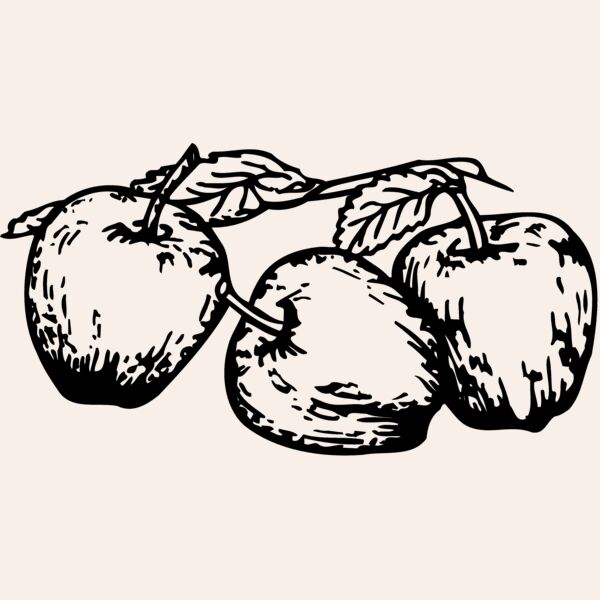FRUIT018 Thumbnail