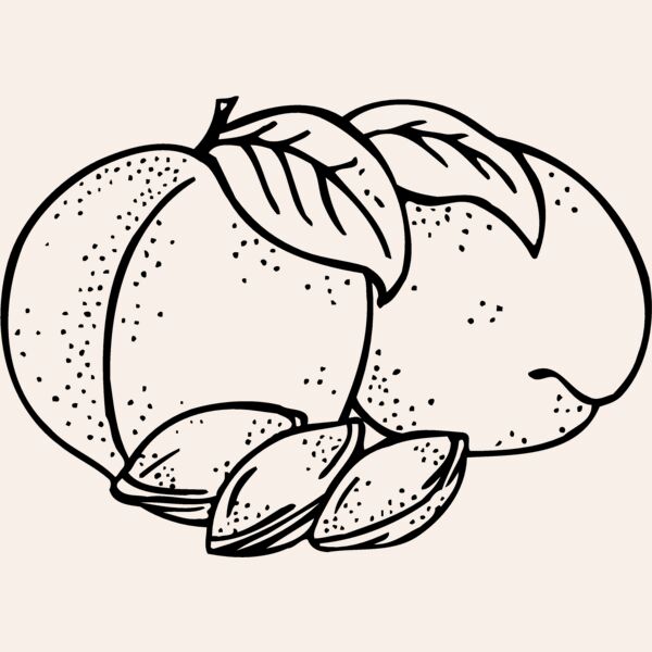 FRUIT025 Thumbnail