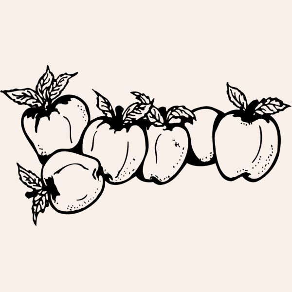 FRUIT029 Thumbnail