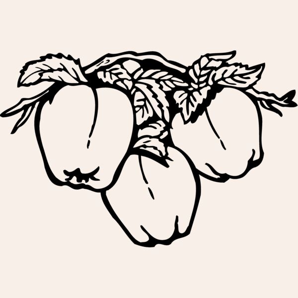 FRUIT030 Thumbnail