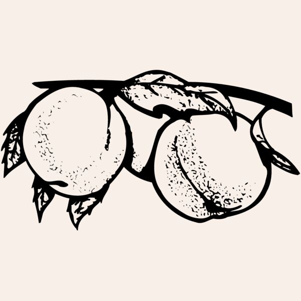 FRUIT031 Thumbnail