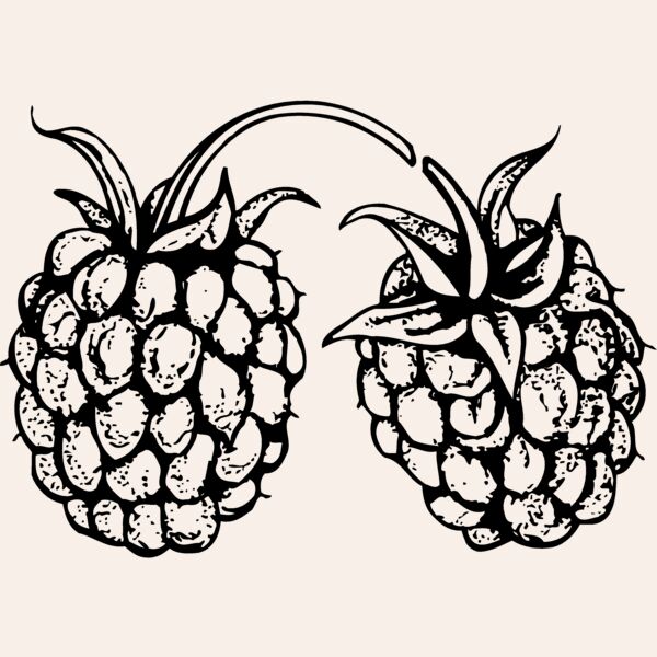 FRUIT032 Thumbnail