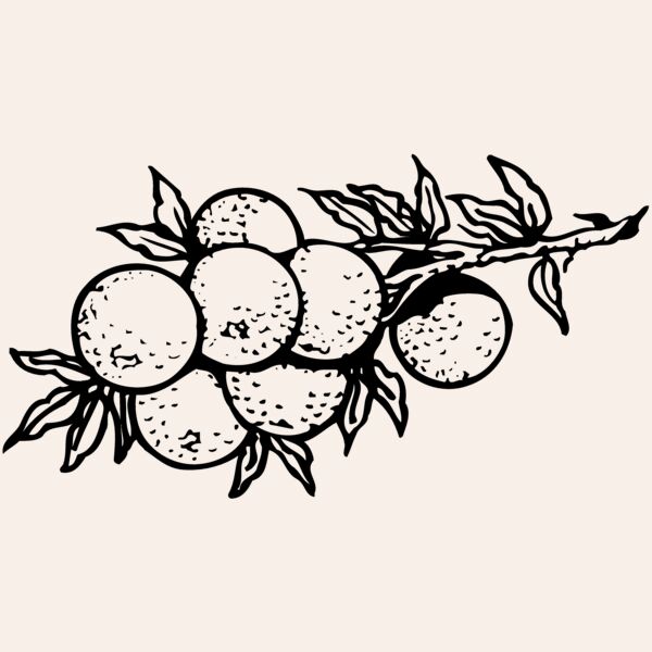 FRUIT035 Thumbnail