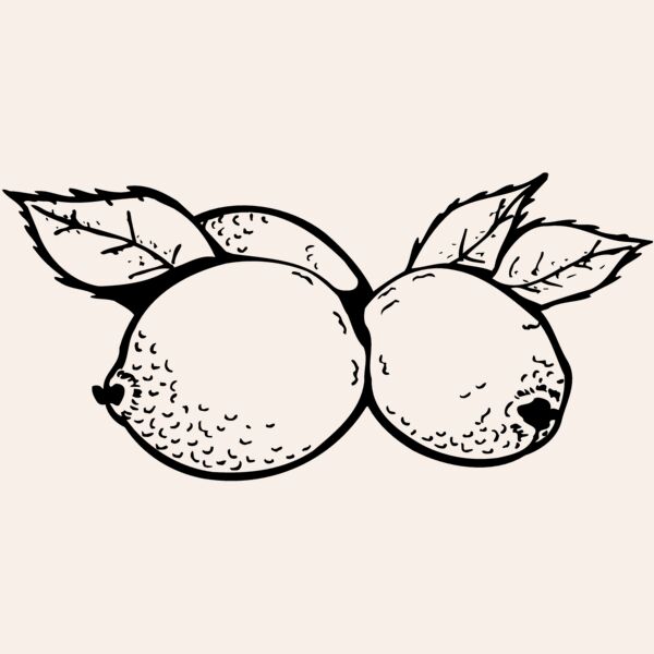 FRUIT036 Thumbnail