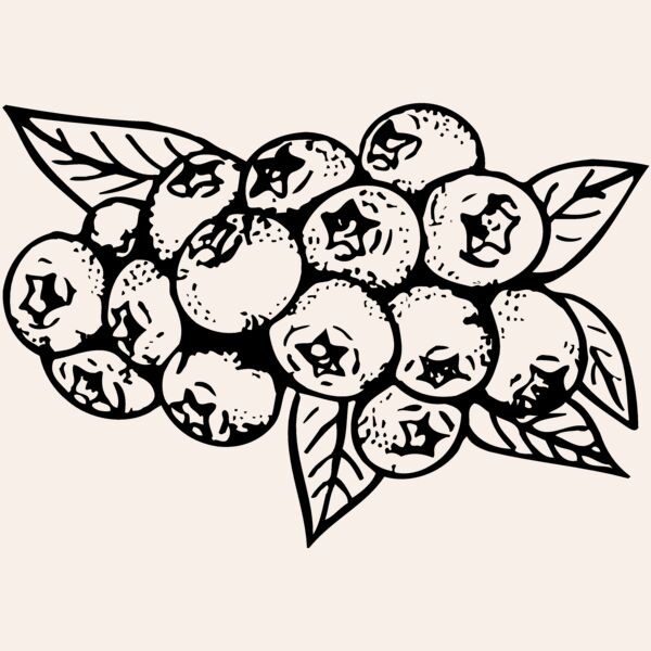FRUIT037 Thumbnail