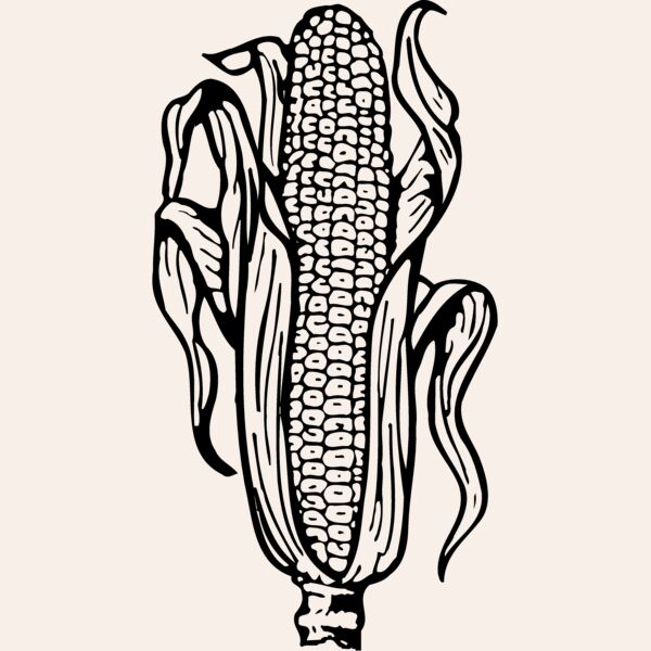 GRAIN001 Thumbnail