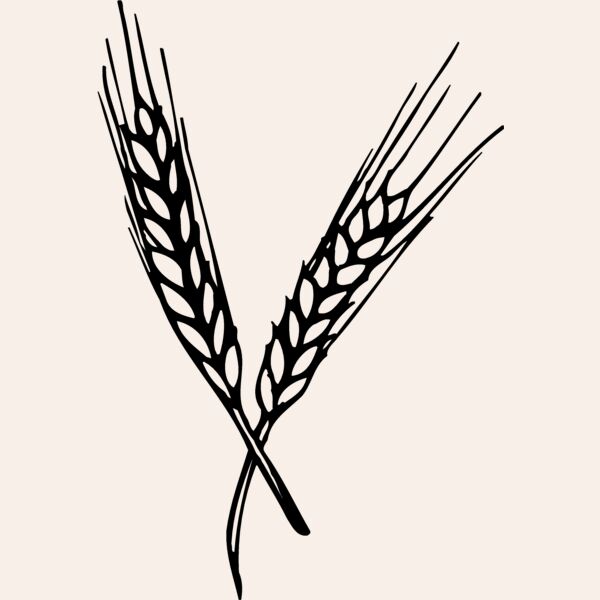 GRAIN004 Thumbnail