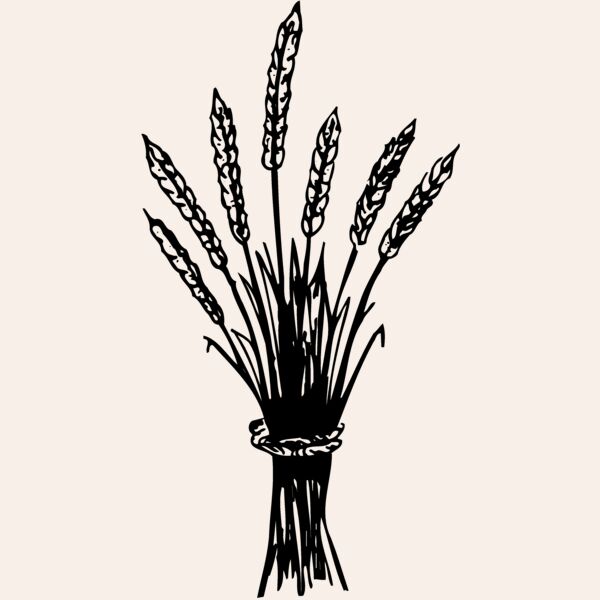 GRAIN008 Thumbnail
