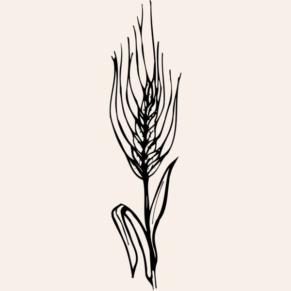 GRAIN009 Thumbnail