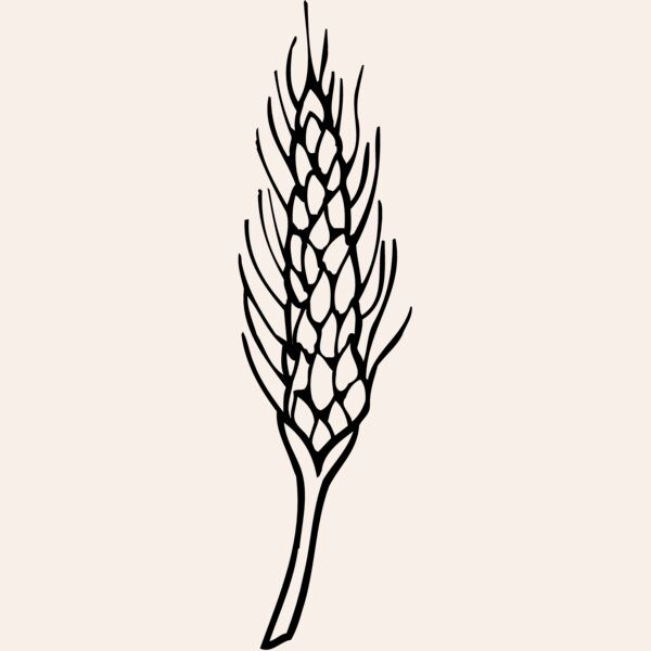 GRAIN010 Thumbnail