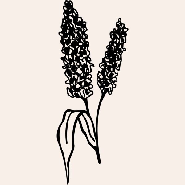 GRAIN011 Thumbnail