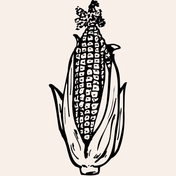GRAIN013 Thumbnail