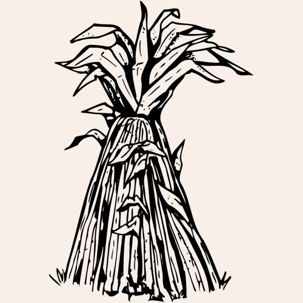 GRAIN014 Thumbnail