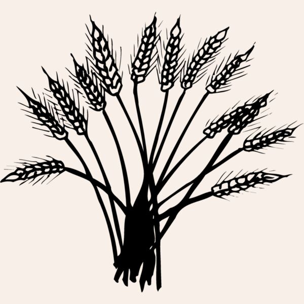 GRAIN015 Thumbnail