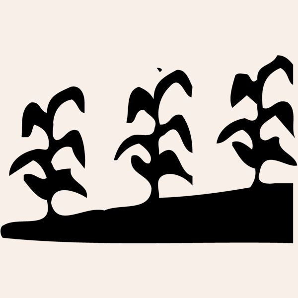GRAIN016 Thumbnail