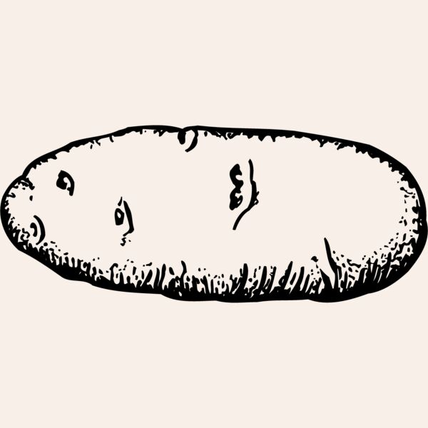 VEG006 Thumbnail