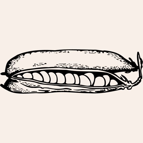 VEG009 Thumbnail