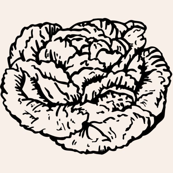 VEG016 Thumbnail