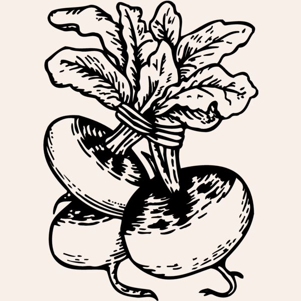 VEG017 Thumbnail