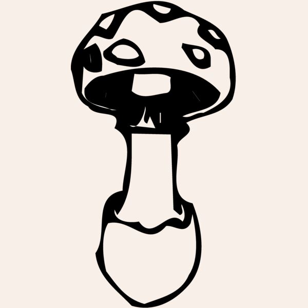 VEG027 Thumbnail
