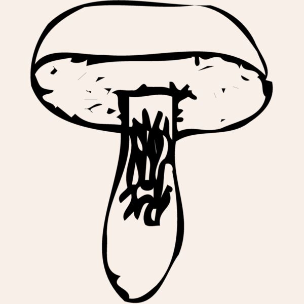 VEG028 Thumbnail