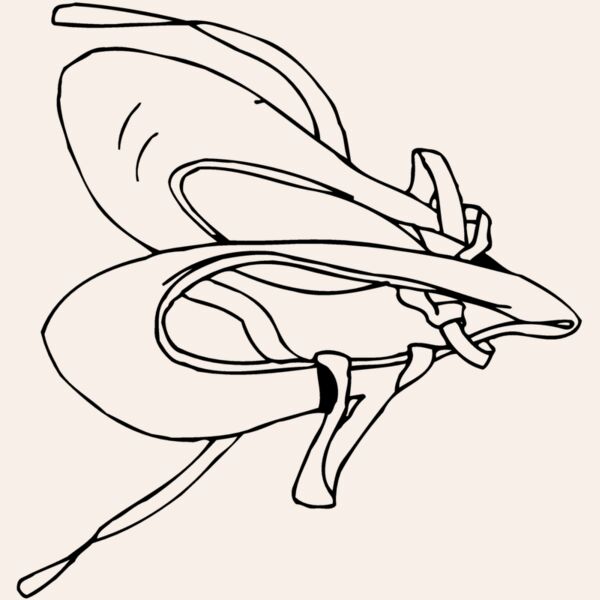 SHOE07 Thumbnail
