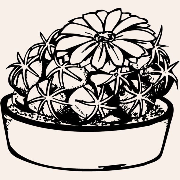 CACTUS02 Thumbnail