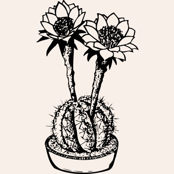 CACTUS03 Thumbnail