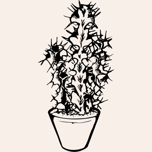 CACTUS04 Thumbnail