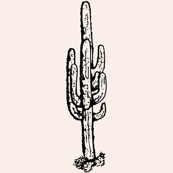 CACTUS12 Thumbnail