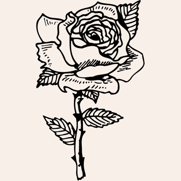 FLOWER04 Thumbnail
