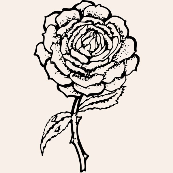 FLOWER05 Thumbnail