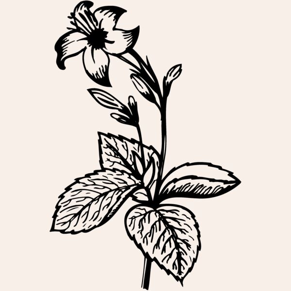 FLOWER06 Thumbnail