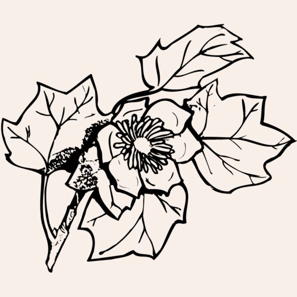 FLOWER09 Thumbnail